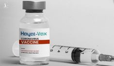 Bộ Y tế phê duyệt có điều kiện vắc-xin Covid-19 Hayat-Vax