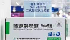 Sắp có 4 vaccine mới “cực kỳ hiệu quả” với chủng Delta sản xuất ngay sát Việt Nam
