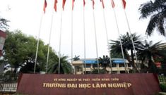Đại học Lâm nghiệp Việt Nam cấp chứng chỉ chui bất chấp giãn cách xã hội
