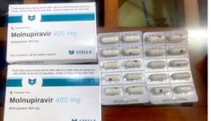 TP.HCM kiến nghị sớm sản xuất, lưu hành thuốc molnupiravir