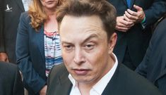 Ukraine thỉnh cầu, Elon Musk lập tức trả lời