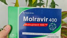 Giá bán dự kiến vào khoảng 300.000 đồng một hộp Molnupiravir