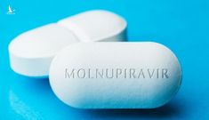 Bộ Y tế cấp phép lưu hành cho 3 thuốc điều trị COVID-19 chứa hoạt chất Molnupiravir