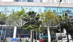 Tòa văn phòng Bamboo Airways của FLC đã được gán nợ cho OCB