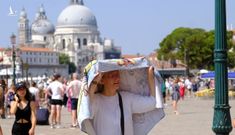Điều gì đang diễn ra trên mọi châu lục, khiến hàng nghìn người thiệt mạng?