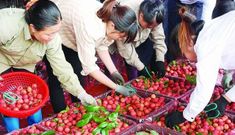 Sức ép bủa vây kinh tế Trung Quốc: Cơ hội nào cho Việt Nam?