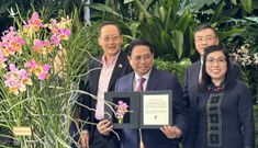 Loài hoa quý “độc nhất vô nhị” Singapore dành cho Thủ tướng và phu nhân Việt Nam