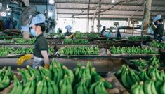 Việt Nam hưởng lợi hàng tỷ USD từ Trung Quốc