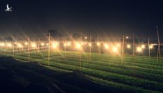 Thủ tướng kêu gọi toàn dân tiết kiệm điện