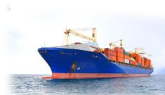 Hàng loạt lãnh đạo Vận tải biển Sài Gòn (SGS) từ nhiệm