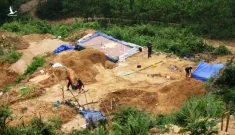 Việt Nam có 40 mỏ vàng trữ lượng gần 30 tấn được phân bố như thế nào?