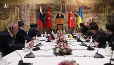 Nga cân nhắc vòng đàm phán mới với Ukraine, sẽ trao thứ quan trọng cho đối phương khi hoàn thành