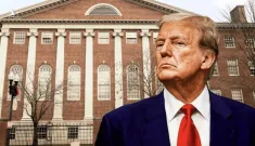 Chính phủ Mỹ cấm Đại học Harvard tuyển sinh viên quốc tế