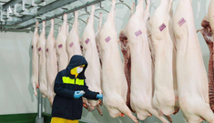 C.P. Việt Nam công bố kết quả giải quyết của công an liên quan tố cáo thịt heo