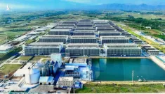 Doanh nghiệp Việt Nam đề xuất xây chung cư cao tầng nuôi heo