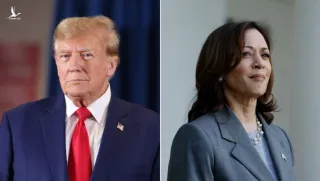 Ông Trump và bà Harris đều không giành được đa số phiếu đại cử tri để chiến thắng thì quy định xử lý ra sao?