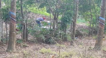 Lộ danh tính nạn nhân vụ thi thể không đầu trong bụi rậm ở Bình Phước