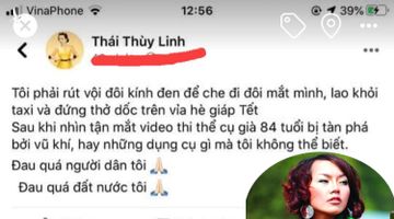 Thấy gì từ việc ca sĩ Thái Thùy Linh “vận động” cho Lê Đình Kình 