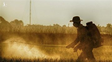 Bộ Nông nghiệp lên tiếng vụ phát ngôn ‘90% người Việt Nam ăn gạo bẩn’