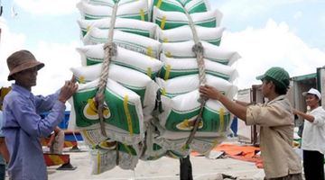 Thanh tra Chính phủ quyết định thanh tra đột xuất việc xuất khẩu gạo