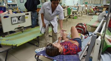 Số ca sốt xuất huyết ngày càng tăng cao tại Đồng Nai