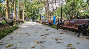 Cận cảnh vườn hoa công viên Tây Sơn hiện đại nhất quận trung tâm Hà Nội