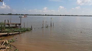 Huyền thoại về loài “cá nược thiêng” trên sông Mê Kông