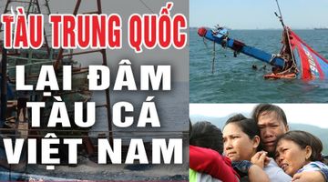 Làm gì để bảo vệ ngư dân Việt Nam không bị hà hiếp trên biển Đông?