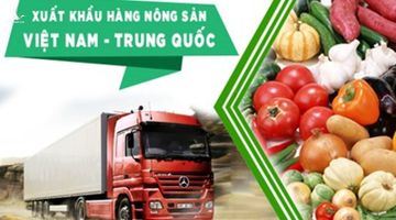 Có nên “bài Trung, thoát Trung”?