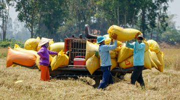 Báo Thái: Việt Nam đang khiến cả Đông Nam Á ghen tị