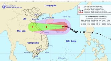 Bão số 8 giật cấp 13, đang cách quần đảo Hoàng Sa 160km