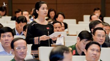 ĐBQH nói cây cao su thải CO2 là thiếu khoa học nhưng gióng lên tiếng chuông báo động về rừng