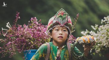 ‘Phát triển thiếu bền vững, Sa Pa đang mất dần vẻ đẹp vượt thời gian’