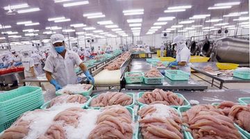 Thế mạnh Việt Nam chốt con số kỷ lục 60 tỷ USD