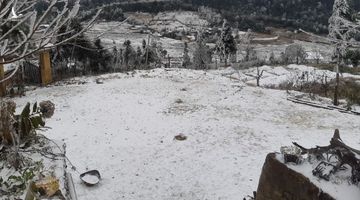 Tuyết rơi trắng trời ở Lào Cai