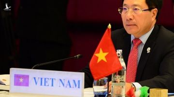 Đối ngoại Việt Nam trong năm 2020: Bản lĩnh và tâm thế mới