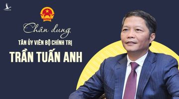 Chân dung tân Ủy viên Bộ Chính trị Trần Tuấn Anh
