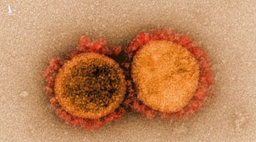 ‘Kịch bản ác mộng’ từ biến chủng virus mới phát hiện ở California