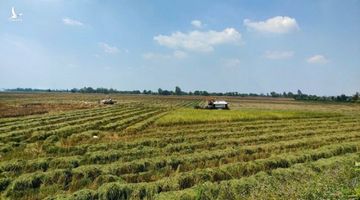 3 năm nhìn lại Nghị quyết 120 về một ĐBSCL ‘thuận thiên’ bền vững