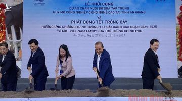 TH khởi công trại bò sữa công nghệ cao lớn nhất miền Tây tại An Giang