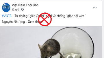 Việt Nam chống tham nhũng có thua chống dịch?