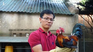 Bỏ việc ở Hà Nội, 9X về quê kiếm 50 triệu đồng/tháng từ gà rừng tai trắng