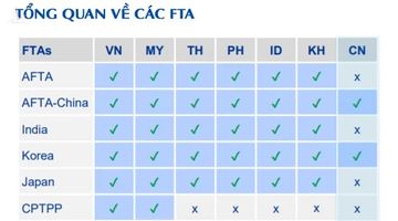 Dezan Shira & Associates: Vì sao thế giới chọn Việt Nam chứ không phải các quốc gia khác?