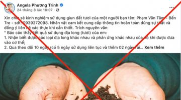 Rùng mình trào lưu uống giun đất sống để chữa Covid-19