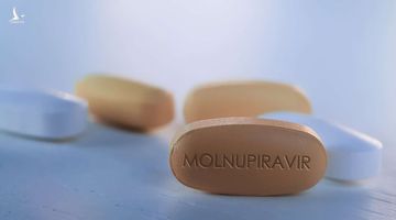 Từ 25/8, TP.HCM phát thuốc Molnupiravir cho F0 điều trị tại nhà