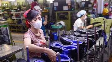 Tổ công tác đặc biệt của Thủ tướng đang làm những gì?