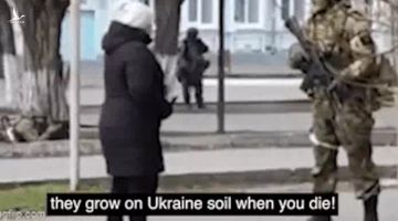 Câu nói gây bão trên mạng xã hội của người phụ nữ Ukraine dành cho lính Nga: Hãy cho hạt hướng dương vào túi!