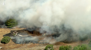 Úc ban bố tình trạng khẩn cấp ở nhiều nơi vì cháy rừng