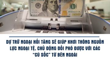 Dữ trữ ngoại hối Việt Nam đủ sức chống đỡ biến động thị trường