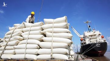 Hạn chế xuất khẩu lúa gạo, Ấn Độ đang dần bị Việt Nam vượt mặt